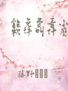 能免费看小说的软件叫什么