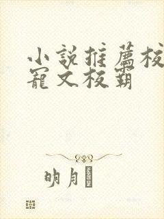 小说推荐校园甜宠文校霸