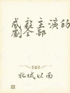 成毅主演的电视剧全部