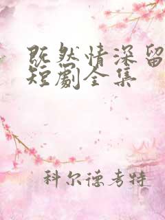 既然情深留不住短剧全集