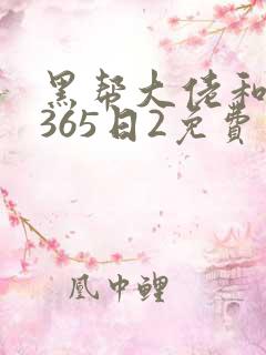 黑帮大佬和我的365日2免费观看