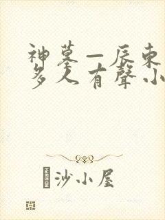 神墓—辰东免费多人有声小说