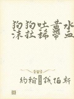 狗狗吐黄水带泡沫拉稀带血