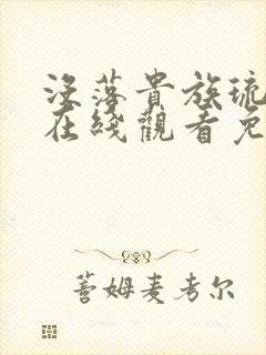 没落贵族琉璃川在线观看免费动漫