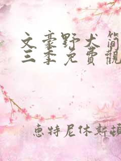 文豪野犬简中第三季免费观看