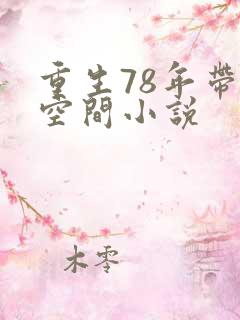重生78年带着空间小说