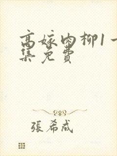 高嫁肉柳1一4集免费