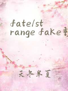 fate/strange fake动漫