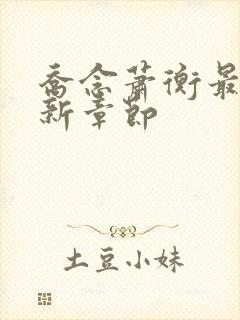 乔念萧衡最新更新章节