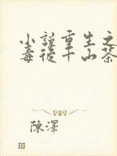 小说重生之将门毒后千山茶客正版