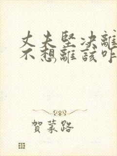 丈夫坚决离婚我不想离该咋样挽救