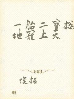 一胎二宝总裁爹地宠上天