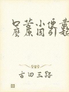 口苦小便黄是什么原因引起的