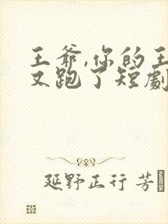 王爷,你的王妃又跑了短剧
