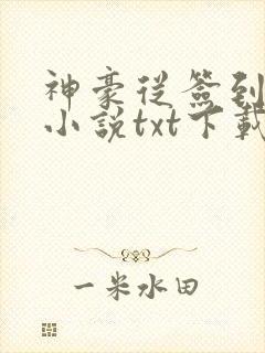 神豪从签到开始小说txt下载