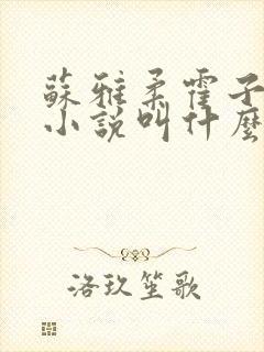 苏雅柔霍子期的小说叫什么名字