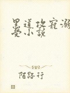 黑道攻宠溺美人受小说