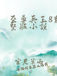 至尊兵王8难完整版小说