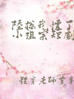 陆总我怀了你的小祖宗短剧视频