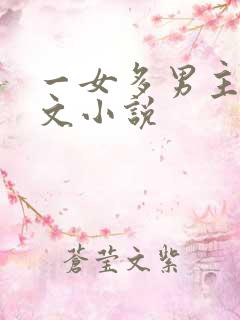 一女多男主高干文小说