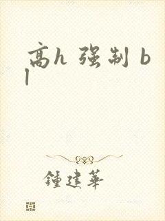 高h 强制 bl