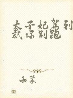 太子妃驾到 总裁你别跑