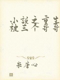 小说之重生后我被三个哥哥追着宠