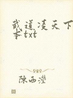 武道凌天下载全本txt