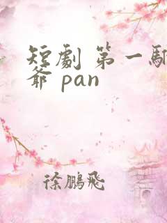 短剧 第一驸马爷 pan
