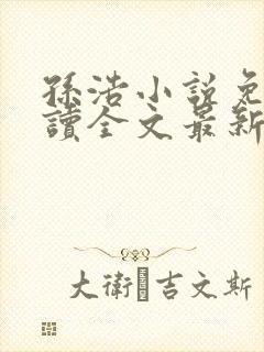 孙浩小说免费阅读全文最新章节