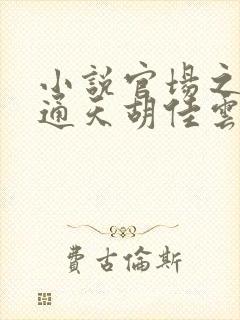 小说官场之手眼通天胡佳云在线阅读