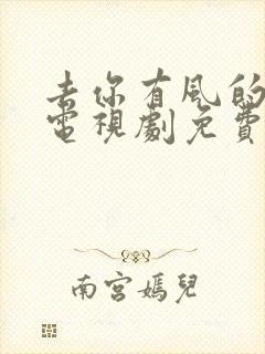 去你有风的地方电视剧免费观看