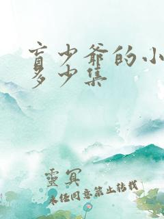 盲少爷的小女仆多少集