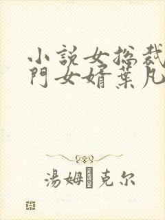 小说女总裁的上门女婿叶凡完全版