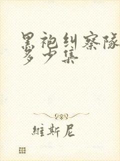 黑袍纠察队二季多少集