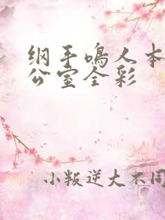 纲手鸣人本子办公室全彩