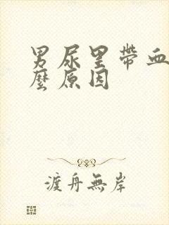 男尿里带血是什么原因