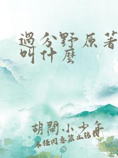 过分野原著小说叫什么