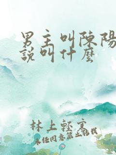 男主叫陈阳的小说叫什么