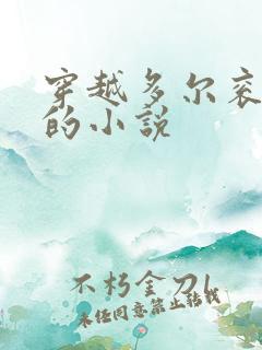 穿越多尔衮之子的小说