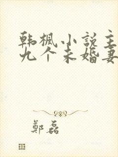 韩枫小说主角有九个未婚妻