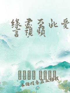 缘尽至此爱不再言视频