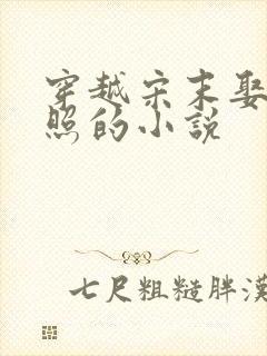 穿越宋末娶李清照的小说