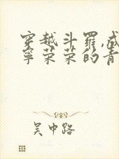 穿越斗罗,成为宁荣荣的青梅竹马