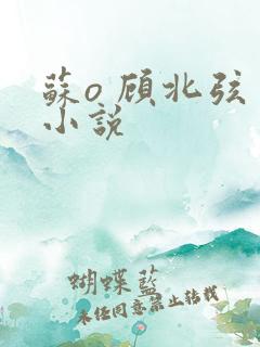 苏o 顾北弦 小说