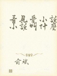 看见爱小说原著小说叫什么名字