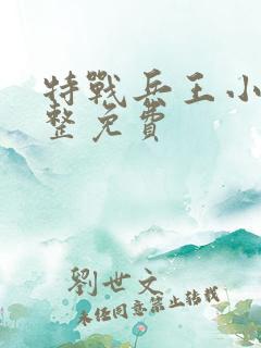 特战兵王小说完整免费