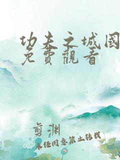 功夫之城国语版免费观看