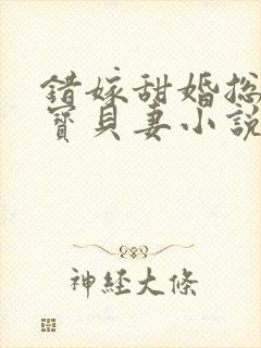 错嫁甜婚总裁的宝贝妻小说完整版