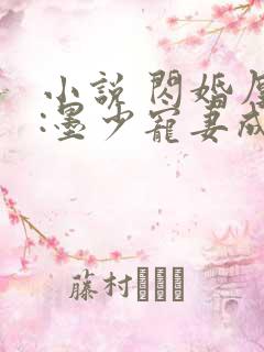 小说 闪婚厚爱:墨少宠妻成瘾